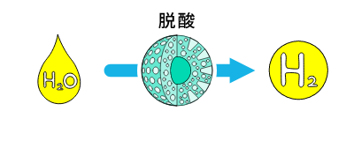 水電解触媒(脱酸)