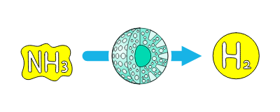 アンモニアクラッキング触媒