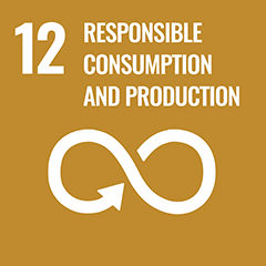 12.RESPONSIBLE PRODUCTION AND CONSUMPTION